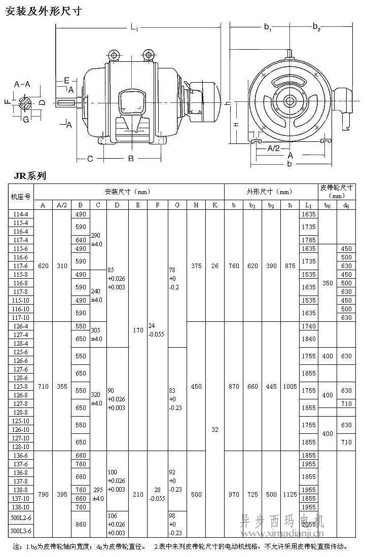 三期内必开一期特号