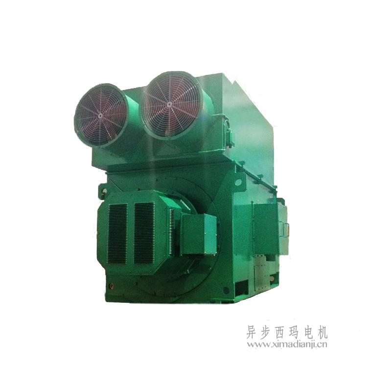 三期内必开一期特号