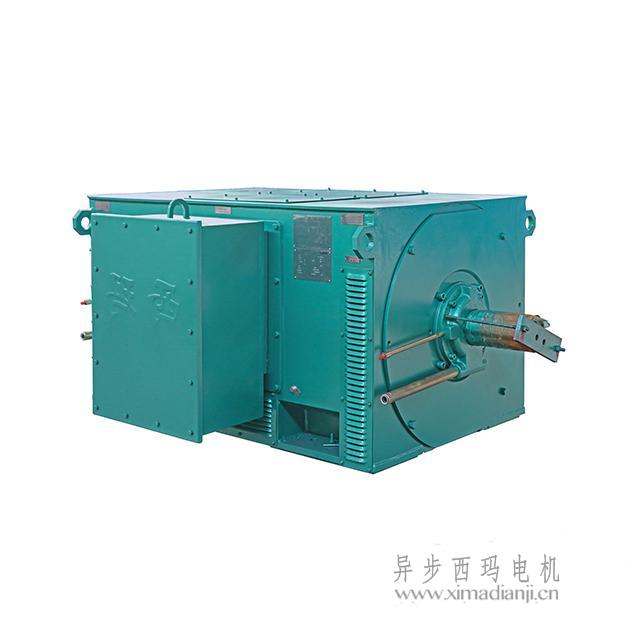 三期内必开一期特号